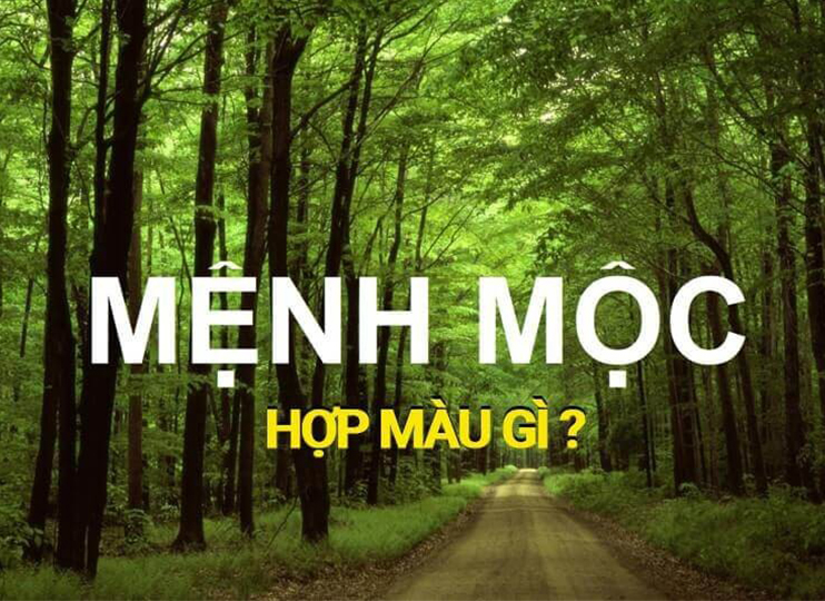 Mệnh Mộc hợp màu gì? Phong thủy nội thất